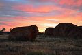 DSC_0001AM (29)